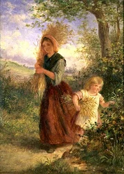 Raccolta del grano