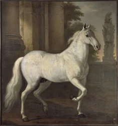 Il cavallo prediletto di Carlo XI, Brilliant