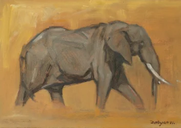 Elefante maschio, 2018