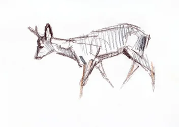 Capriolo, 2021