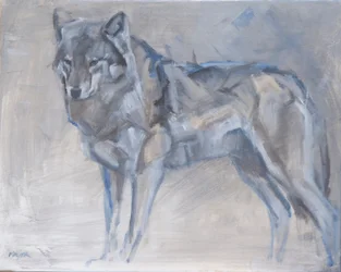 Lupo 1