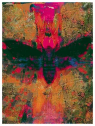 Collage di falena della morte, 2016