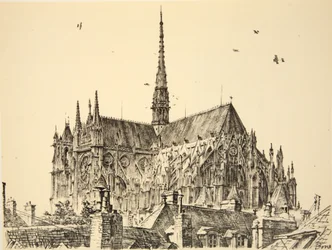 Cattedrale di Amiens, illustrazione da 