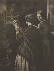 Camera Work: La Gabbia degli Uccelli, 1909