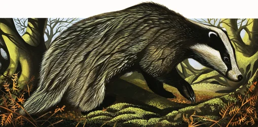 Il signor e la signora Badger a casa