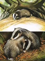 Il signor e la signora Badger a casa