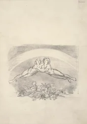 Sei disegni per Nichol