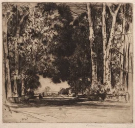 Il Viale
