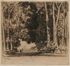 Il Viale