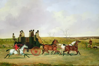 Cavallo e carrozza