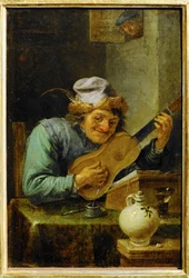 Il chitarrista ...