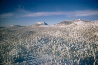 Siberia in paesaggio invernale su paludi e foreste coperte di neve