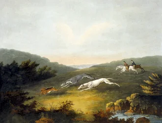 Caccia alla lepre, tavola 2, inciso da R.G. Reeve