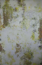 "Terra in difficoltà" - Riassunto