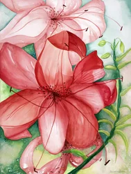 Tigerlily, 2007 (acquerello)