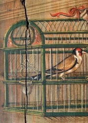Uccello in gabbia, dettaglio di un dipinto di Defendente Ferrari, sezione posteriore del coro del XVI secolo, Chiesa di San Girolamo, Biella