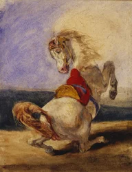 Cavallo impennato