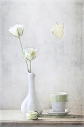 Rose delicate e farfalla