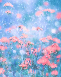 Fiori rosa da sogno