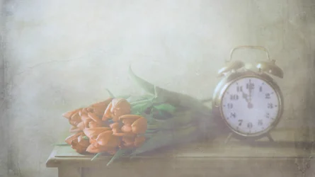 Tulipani da sogno e il tempo