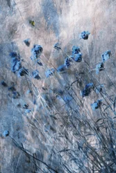 Fiori blu sbiaditi
