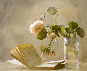 "Faded Roses" - Libro aperto