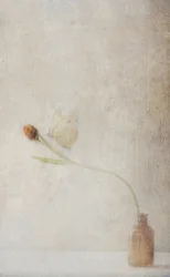 Natura morta con tulipani appassiti
