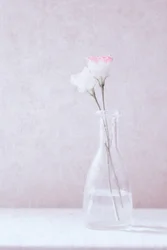 Fiori innamorati
