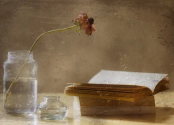Fioritura malinconica e libro