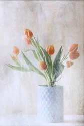Tulipani arancioni tenui