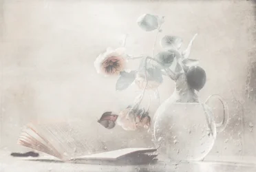 Rose morbide - Libro aperto