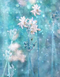 Fiori blu scintillanti