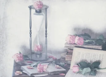 Rose e libri senza tempo