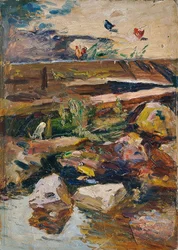 Riva del ruscello con galline