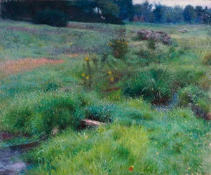 Il Ruscello di Medfield