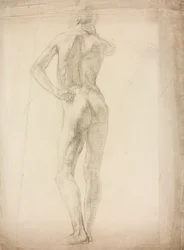 Studio di una figura maschile
