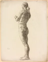 Studio di una figura maschile
