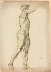 Studio di una figura maschile
