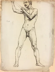 Studio di una figura maschile