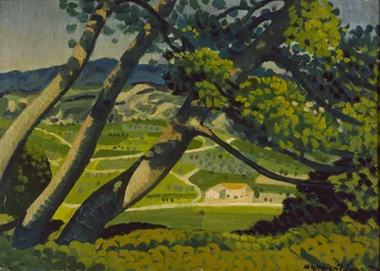 Alberi, Provenza