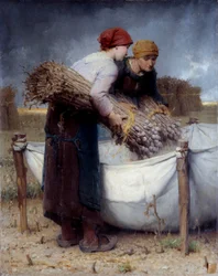 Raccoglitori di papaveri