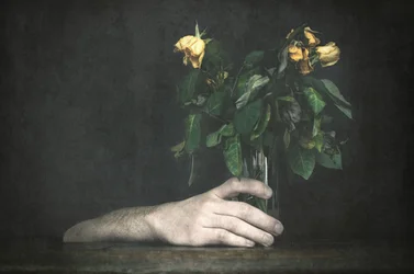 Mano e rose appassite
