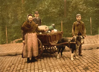 Venditori di latte, Bruxelles, Belgio, c.1900