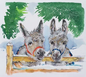 Amici nel campo, 1996