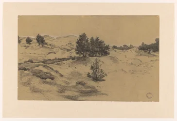Paesaggio dunale