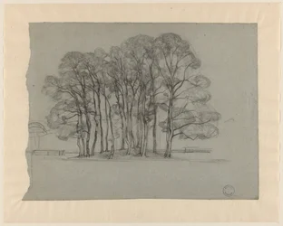Gruppo di alberi su una bassa collina