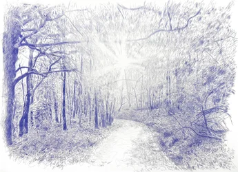 Bosque a contraluz, 2023 (inchiostro su tela)