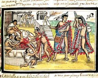 Fol.70v Sacrificio umano, dal 
