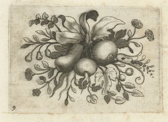 Festone di frutti, Fruchtenbuchlein zum Reisen dienlich (serie)