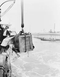 Cassa contenente Harry Houdini, calata nella baia di New York